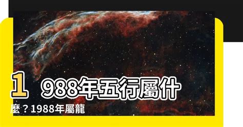 1988木龍|【1988年屬龍五行屬什麼的】1988年 